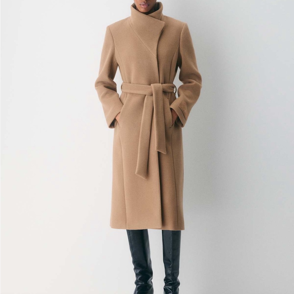 Aritzia Babaton Coat